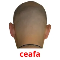 ceafa picture flashcards