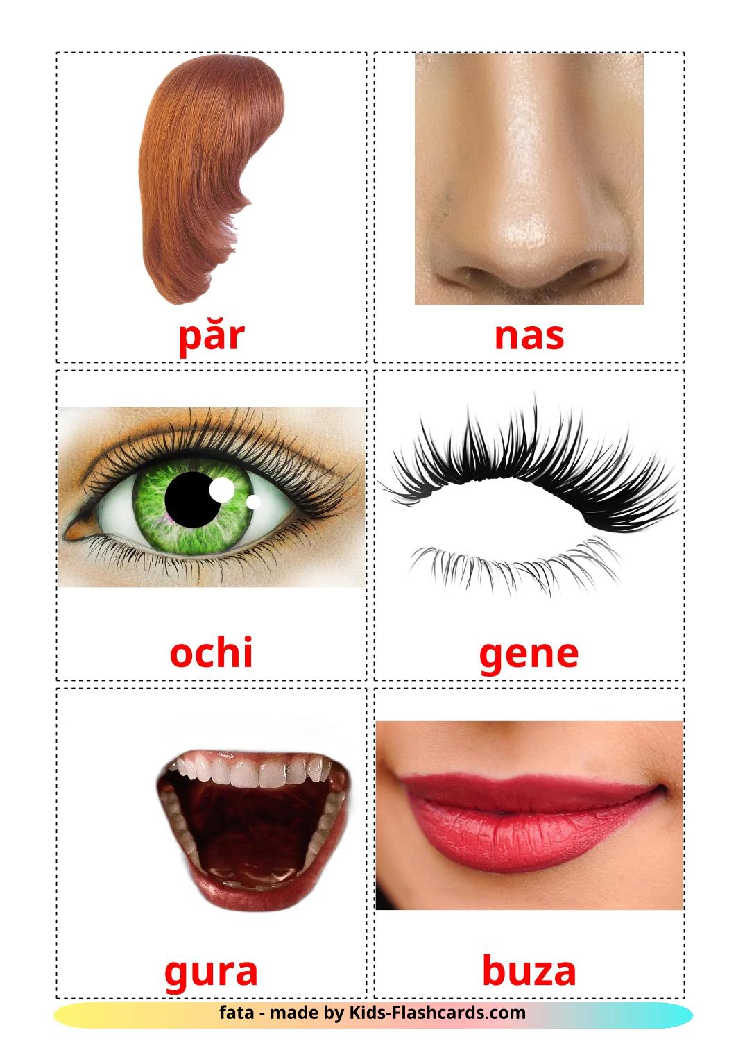 Face - 20 Free Printable romanian Flashcards 