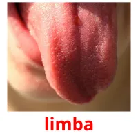 limba picture flashcards