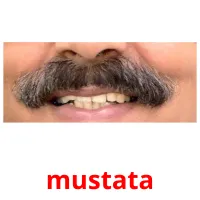 mustata picture flashcards