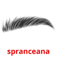 spranceana picture flashcards