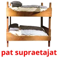 pat supraetajat Tarjetas didacticas