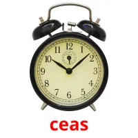 ceas Bildkarteikarten