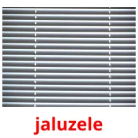 jaluzele Bildkarteikarten