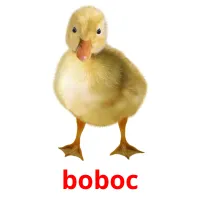 boboc карточки энциклопедических знаний