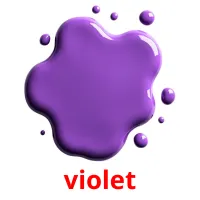 violet Bildkarteikarten