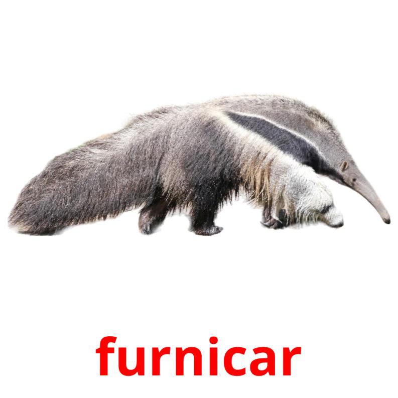 furnicar picture flashcards