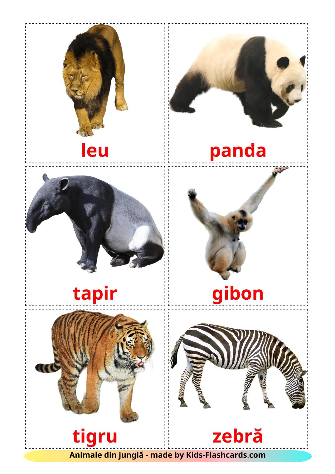 Animais da Selva - 22 Flashcards romenoes gratuitos para impressão