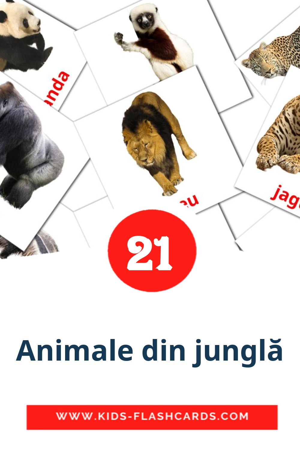 21 Animale din junglă fotokaarten voor kleuters in het roemeense