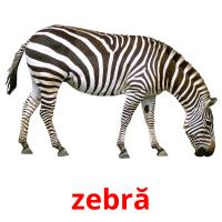 zebră card for translate