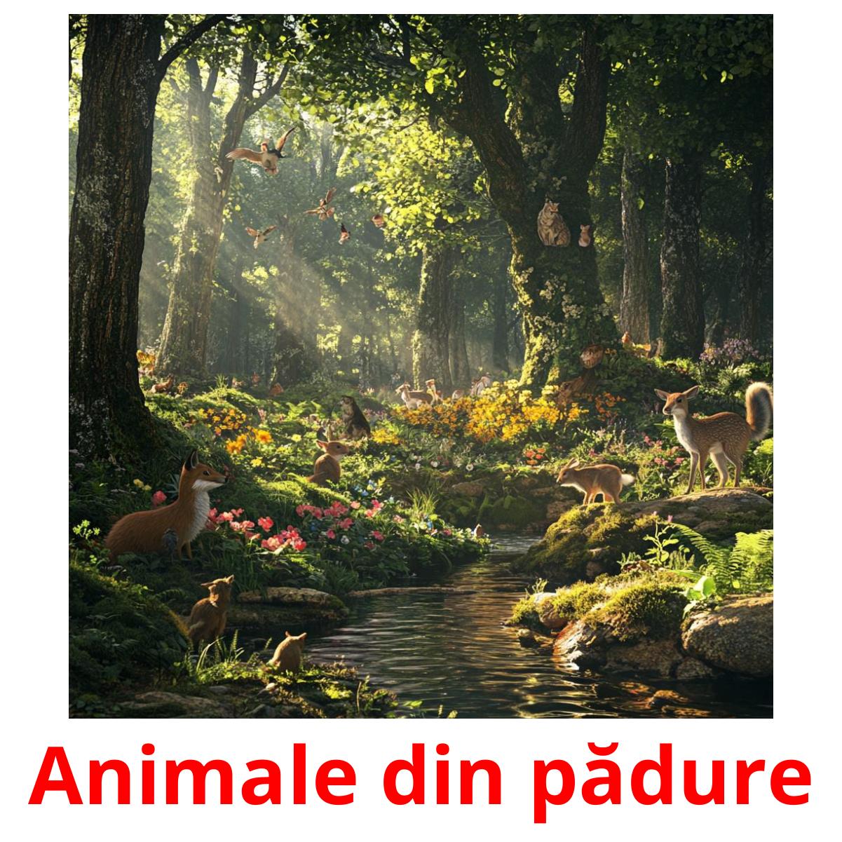 Animale din pădure picture flashcards