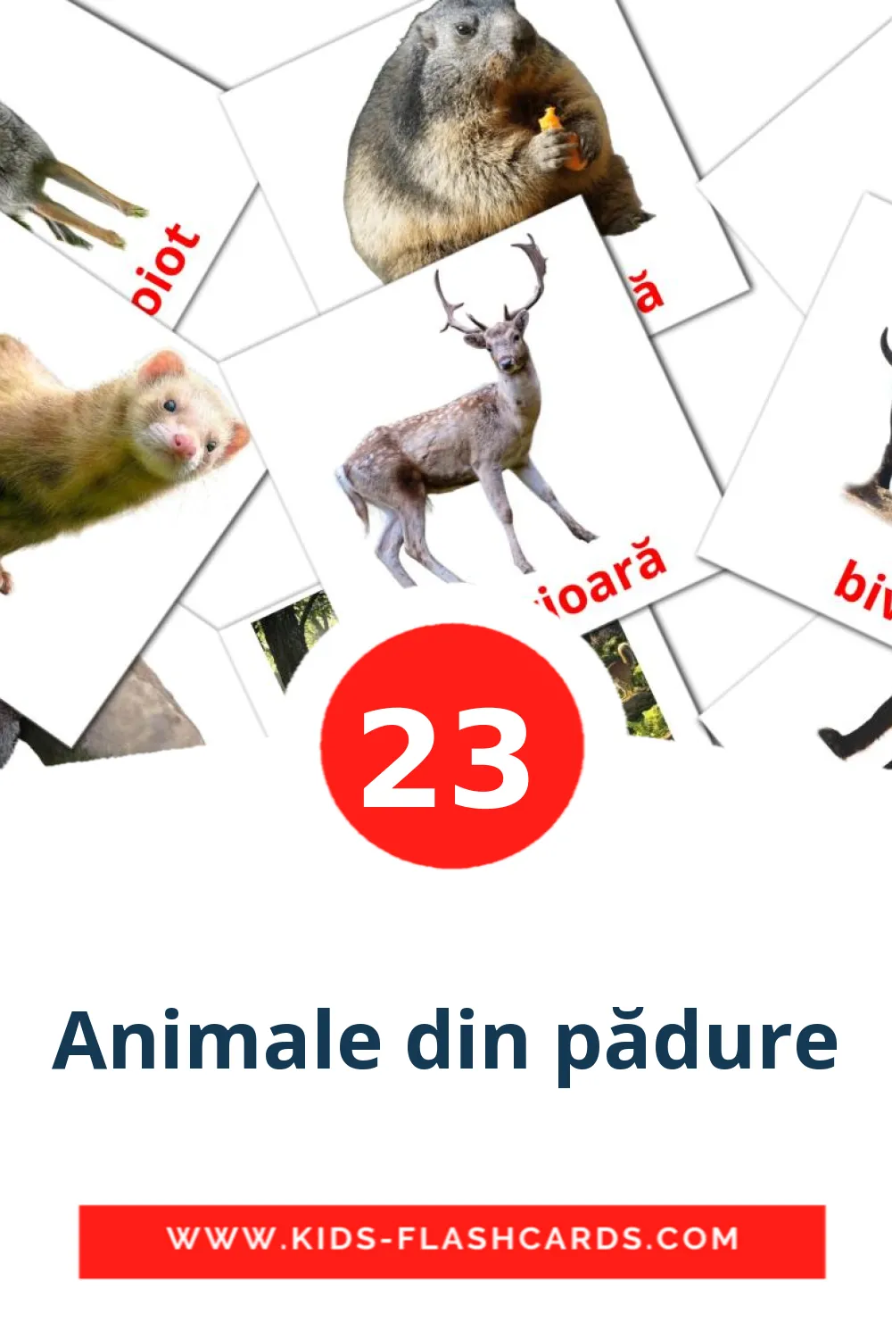 23 carte illustrate di Animale din pădure per la scuola materna in rumeno