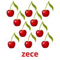 zece picture flashcards