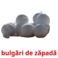 bulgări de zăpadă cartões com imagens