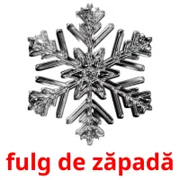 fulg de zăpadă cartões com imagens