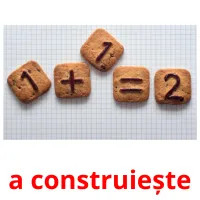 a construiește flashcards illustrate