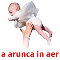 a arunca in aer flashcards illustrate