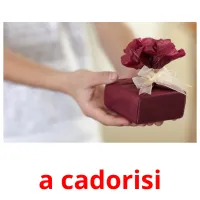 a cadorisi flashcards illustrate