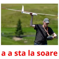 a a sta la soare flashcards illustrate