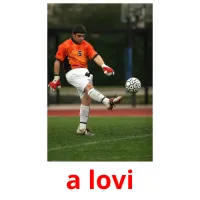 a lovi flashcards illustrate