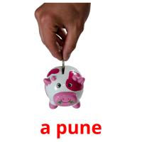 a pune flashcards illustrate