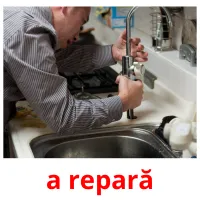 a repară Bildkarteikarten