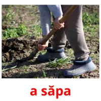 a săpa Bildkarteikarten