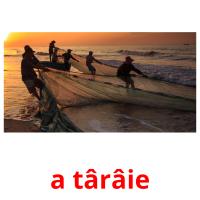 a târâie picture flashcards