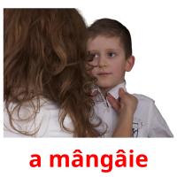 a mângâie picture flashcards
