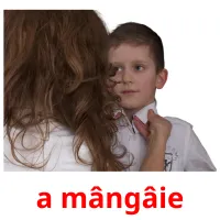 a mângâie flashcards illustrate