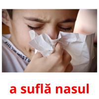 a suflă nasul flashcards illustrate