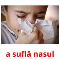 a suflă nasul flashcards illustrate