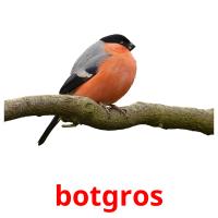 botgros card for translate