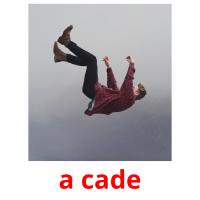 a cade picture flashcards