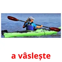 a vâslește ansichtkaarten