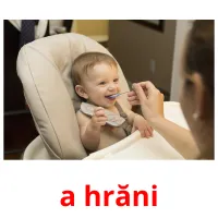 a hrăni ansichtkaarten