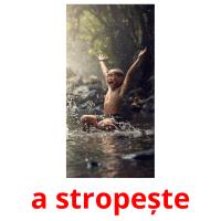 a stropește picture flashcards