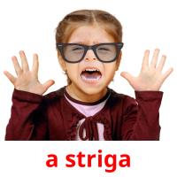 a striga picture flashcards