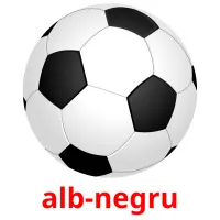 alb-negru Bildkarteikarten