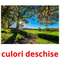 culori deschise Bildkarteikarten