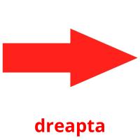 dreapta picture flashcards