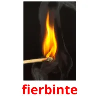 fierbinte Bildkarteikarten