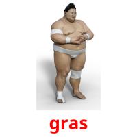 gras picture flashcards