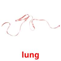 lung flashcards illustrate