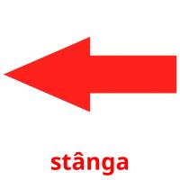 stânga picture flashcards