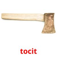 tocit picture flashcards