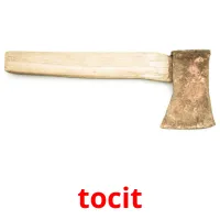 tocit Bildkarteikarten