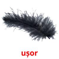 ușor picture flashcards
