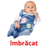 îmbrăcat Bildkarteikarten