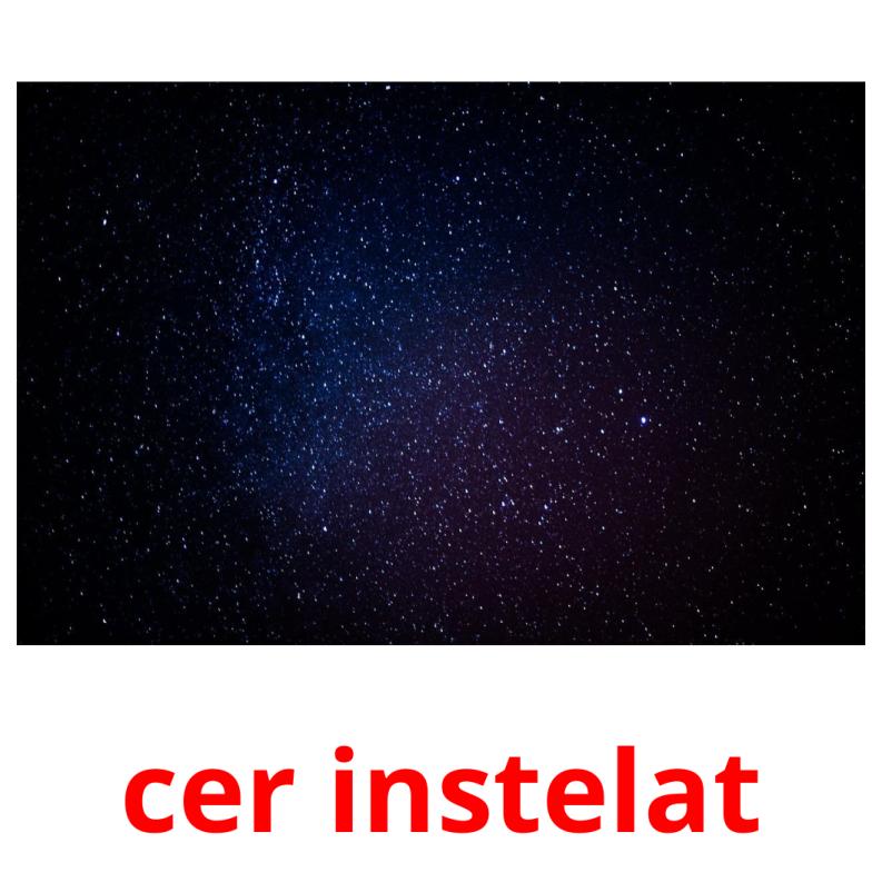 cer instelat picture flashcards